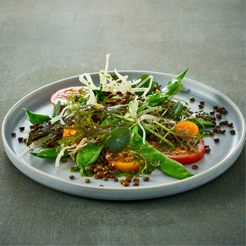 DAVA øko Anicia linser 300 g