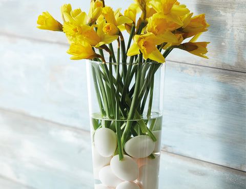 Vase med æg